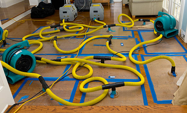 Professional Burst Pipe Water Damage technician working in Sandy, OR